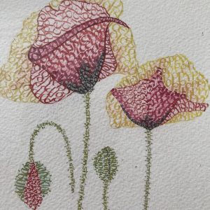 Icelandic Poppies